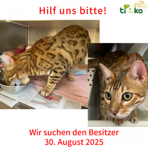 Fundtiere FB (45)